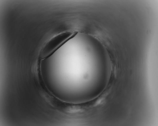 X0000088890244200706151834