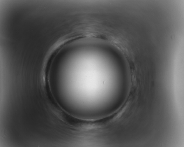 X0000088890246200706151834