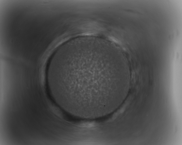 X0000088890247200706151834