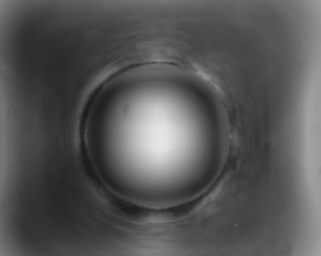 X0000088890248200706151834