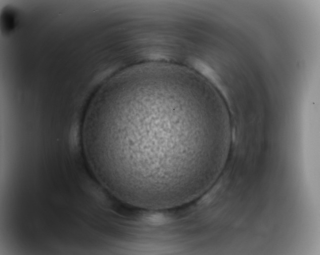 X0000088890249200706151835