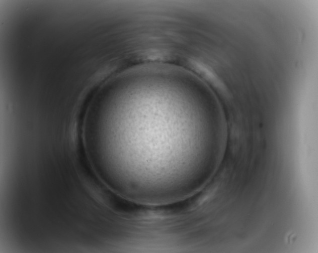 X0000088890250200706151835