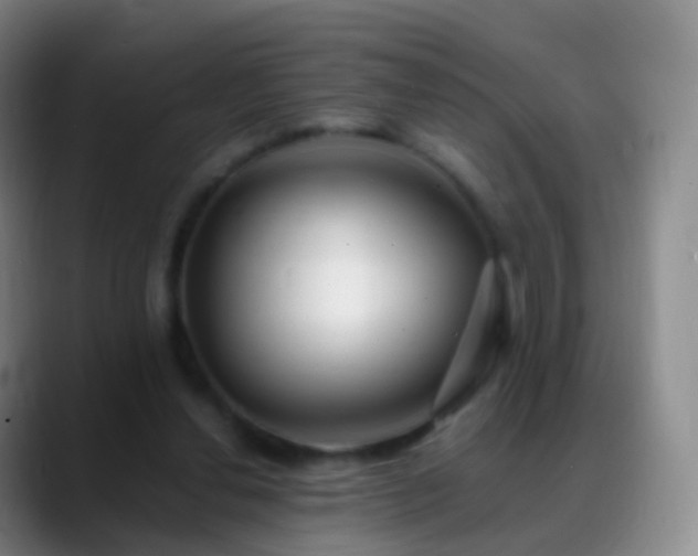 X0000088890252200706151835