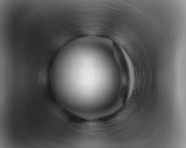 X0000088890255200706151835