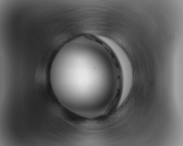 X0000088890256200706151835