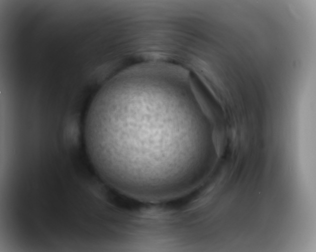 X0000088890259200706151835