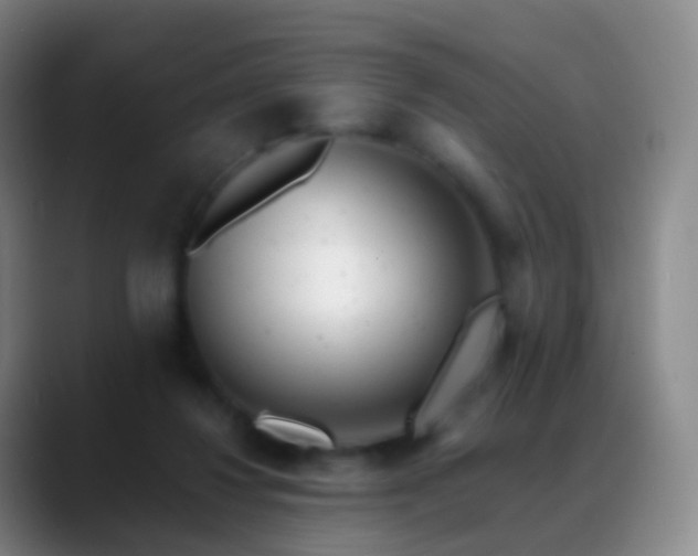 X0000088890260200706151835