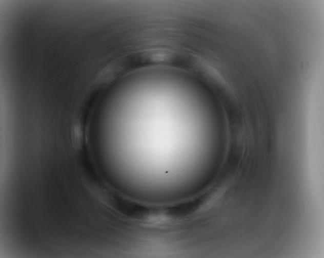 X0000088890262200706151835