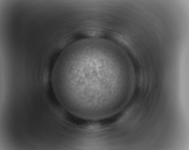 X0000088890263200706151835