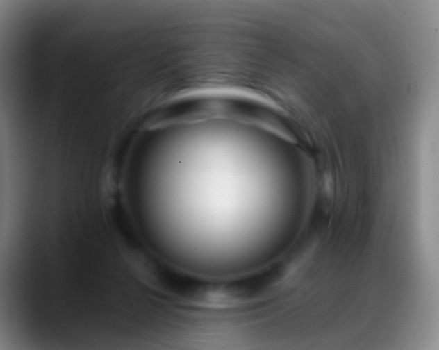 X0000088890264200706151835