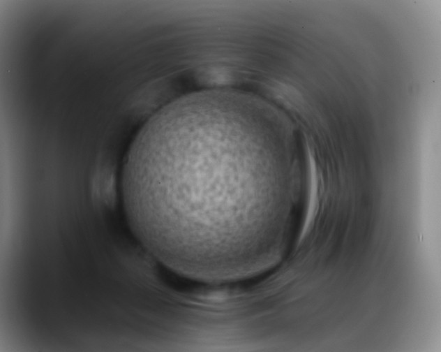 X0000088890267200706151835