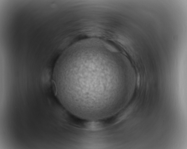 X0000088890273200706151835