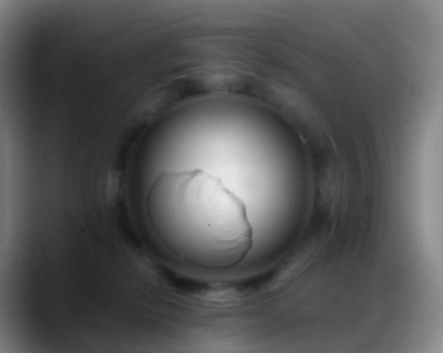 X0000088890278200706151835