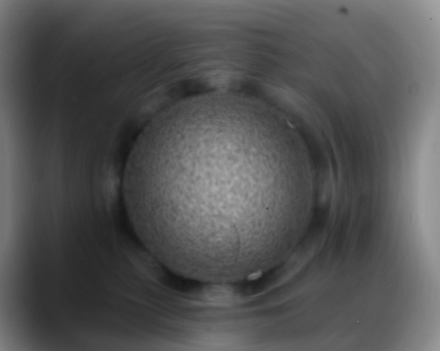 X0000088890279200706151835