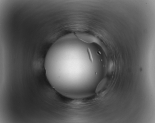 X0000088890280200706151835