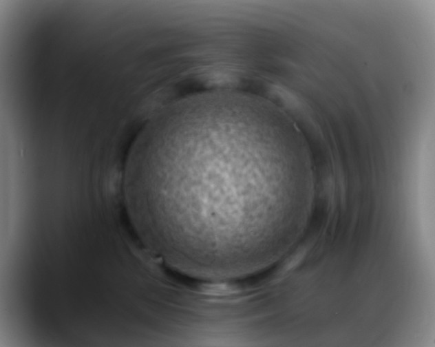 X0000088890281200706151835