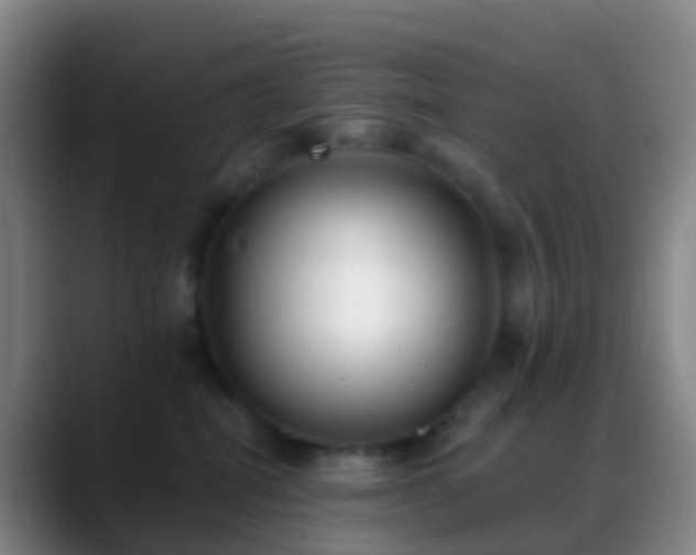 X0000088890282200706151835