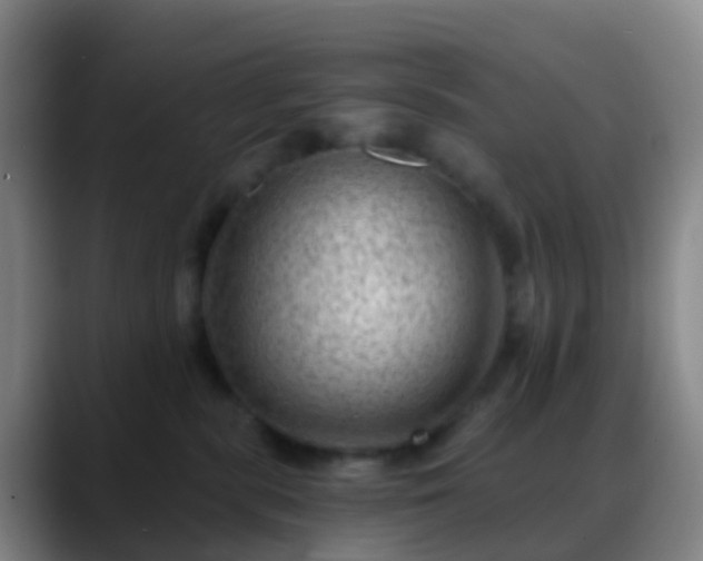 X0000088890283200706151835