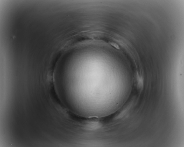 X0000088890284200706151835