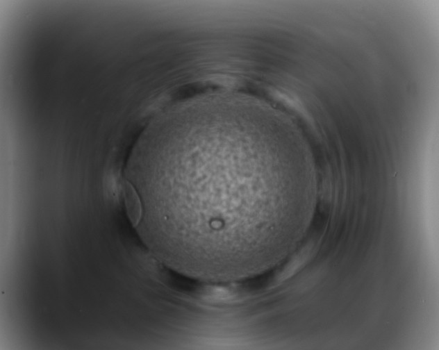 X0000088890285200706151835