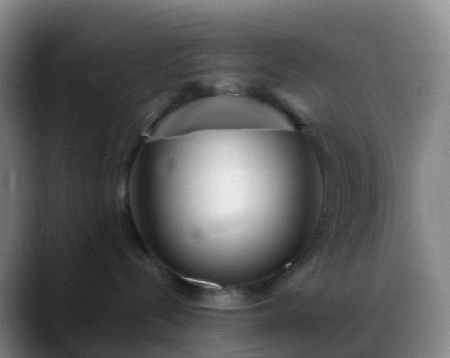 X0000088890288200706151835