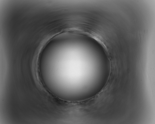 X0000088890289200706151834