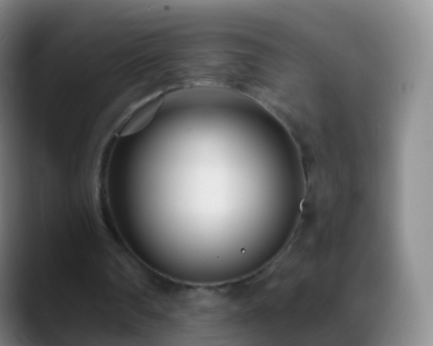 X0000088890290200706151834