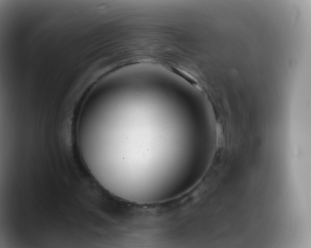 X0000088890291200706151834