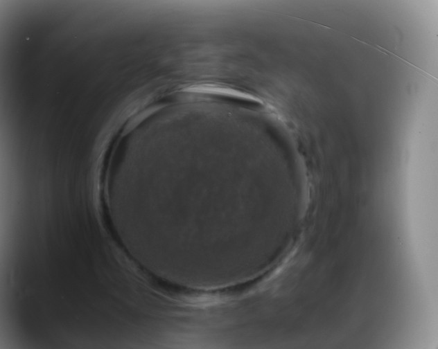 X0000088890293200706151834