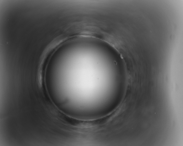 X0000088890294200706151834