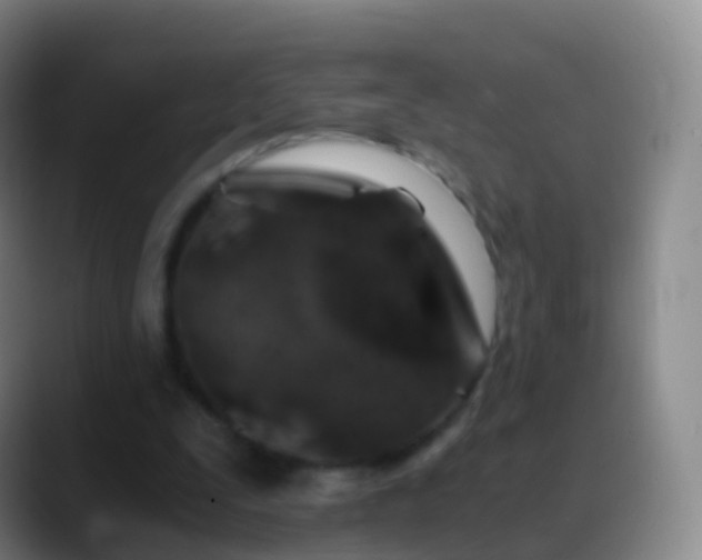 X0000088890295200706151834