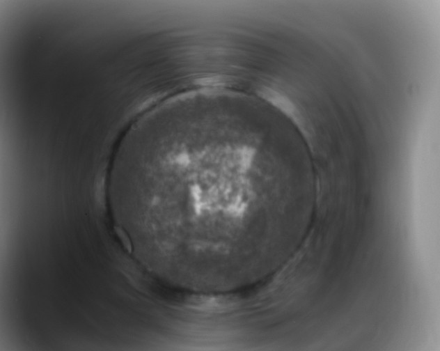 X0000088890297200706151834