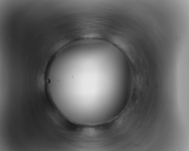 X0000088890298200706151834