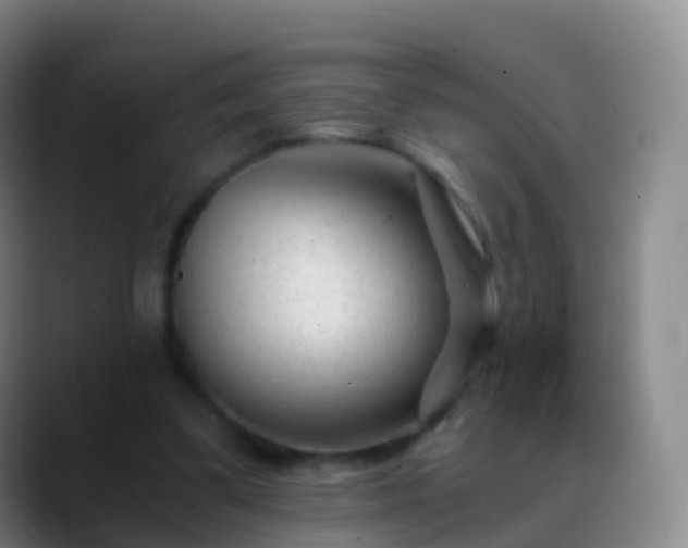 X0000088890299200706151834