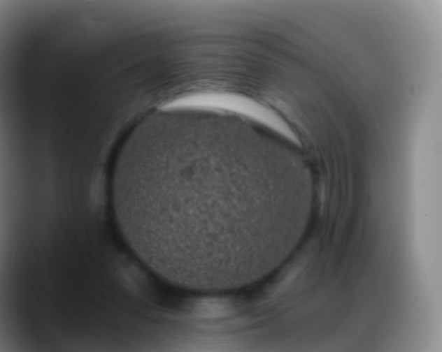 X0000088890303200706151834