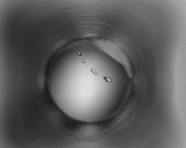 X0000088890304200706151834