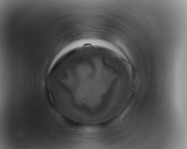 X0000088890305200706151834