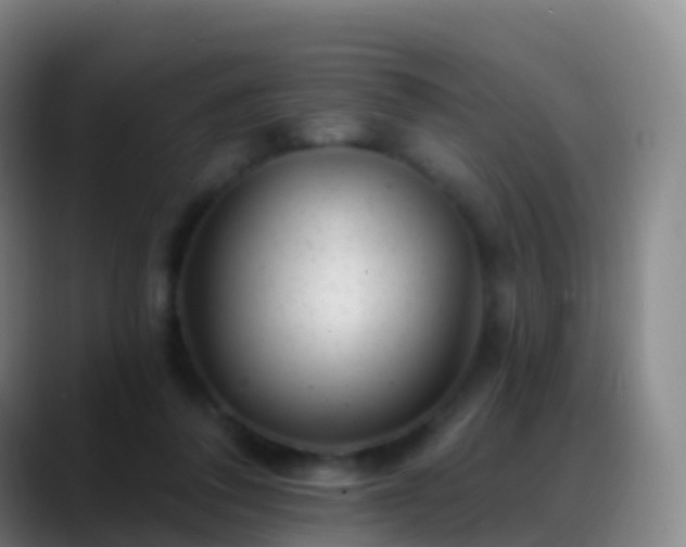 X0000088890308200706151834