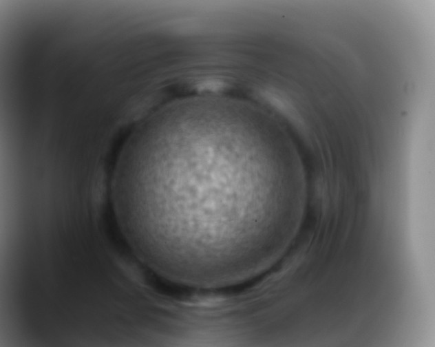 X0000088890311200706151834