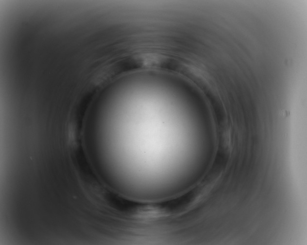 X0000088890316200706151834