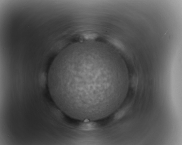 X0000088890321200706151834