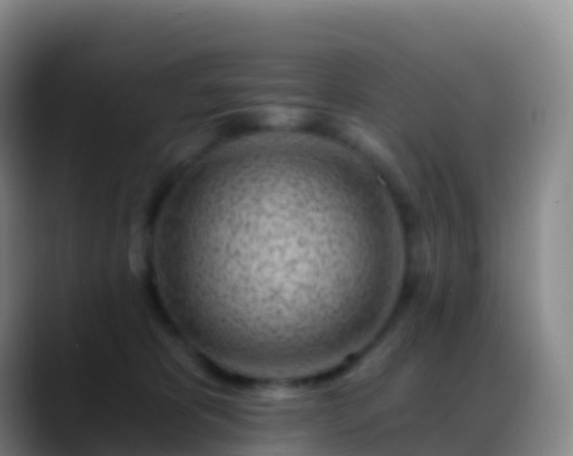 X0000088890325200706151834