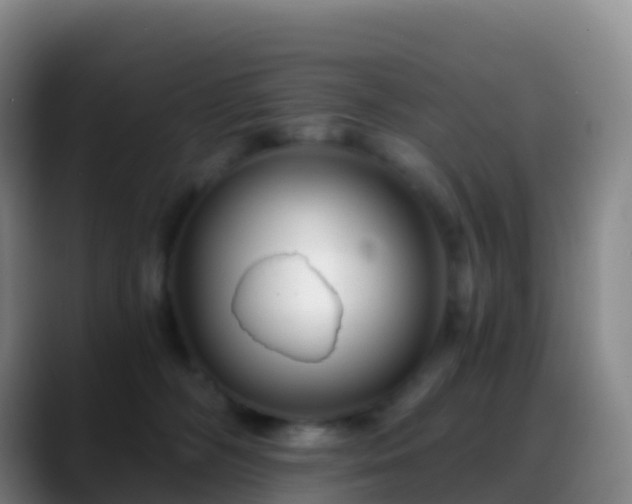 X0000088890326200706151834