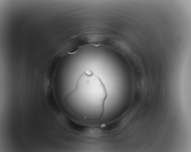 X0000088890327200706151834