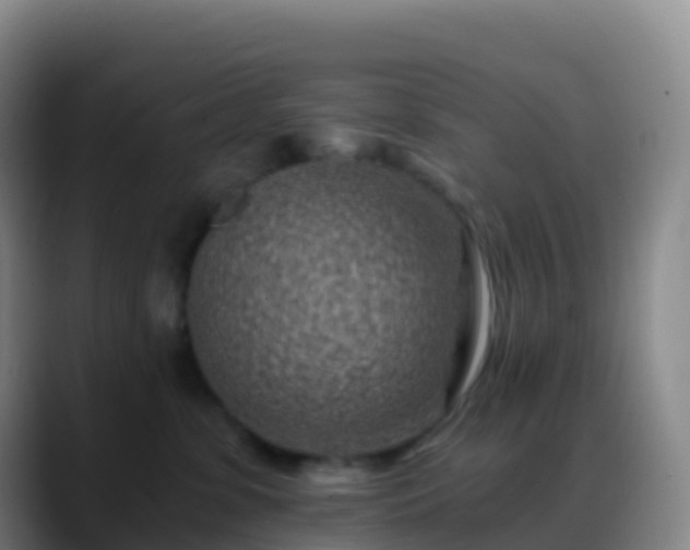 X0000088890331200706151834