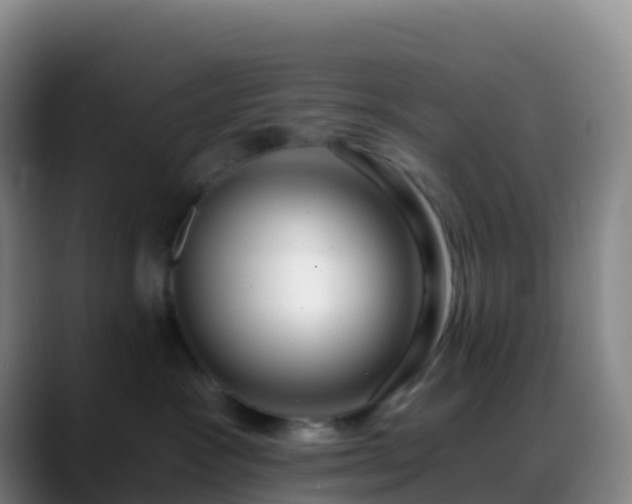 X0000088890333200706151834