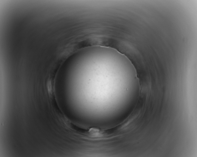 X0000088890335200706151834