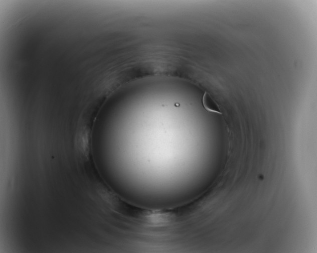 X0000088890336200706151834