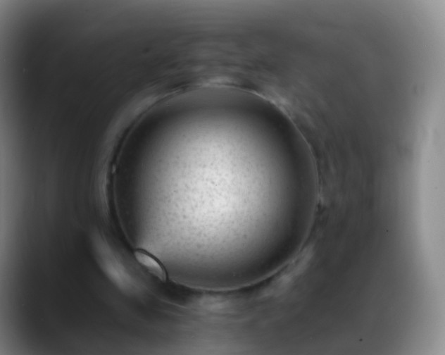 X0000088890341200706151833