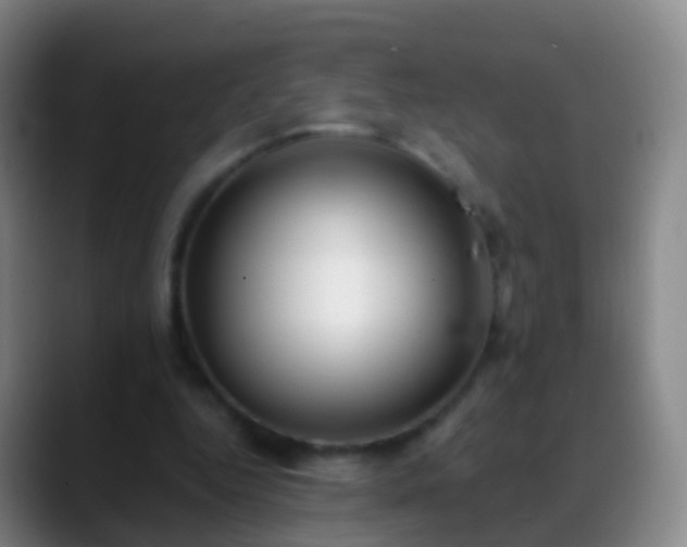 X0000088890344200706151833